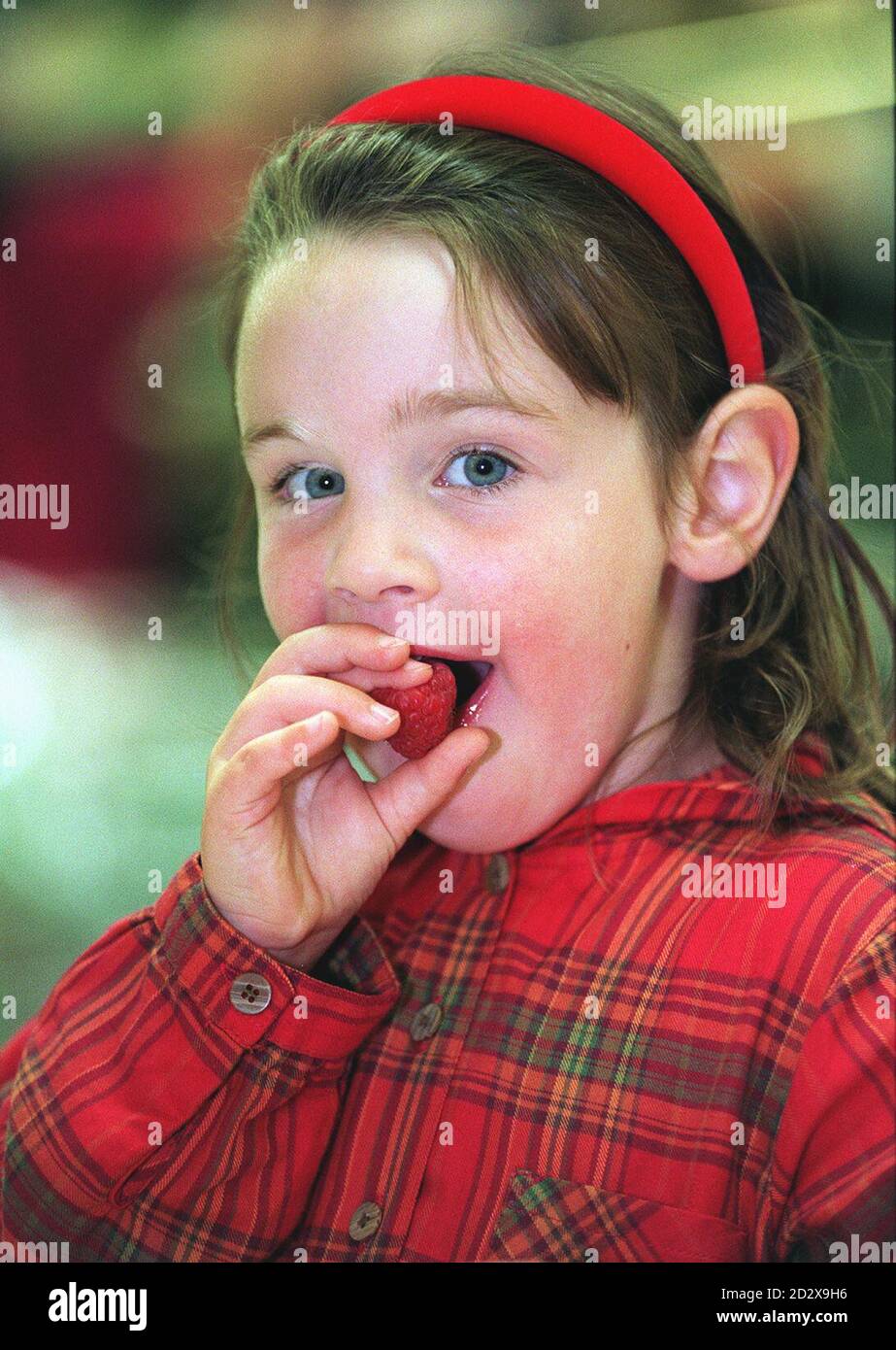 Four-year-old Terri-Louise Jennings, from Blairgourie, Perthshire, samples a giant raspberry, grown by her grandfather fruit breeder Derek Jennings and named after his grandaughter. The Terri-Louise raspberry, which was launched by food giant Marks & Spencer today (Friday), was described as 'succulent, highly flavoured and on average double the size of any of its rivals'. See PA story CONSUMER Raspberry. Photo by Michael Crabtree/PA Stock Photo