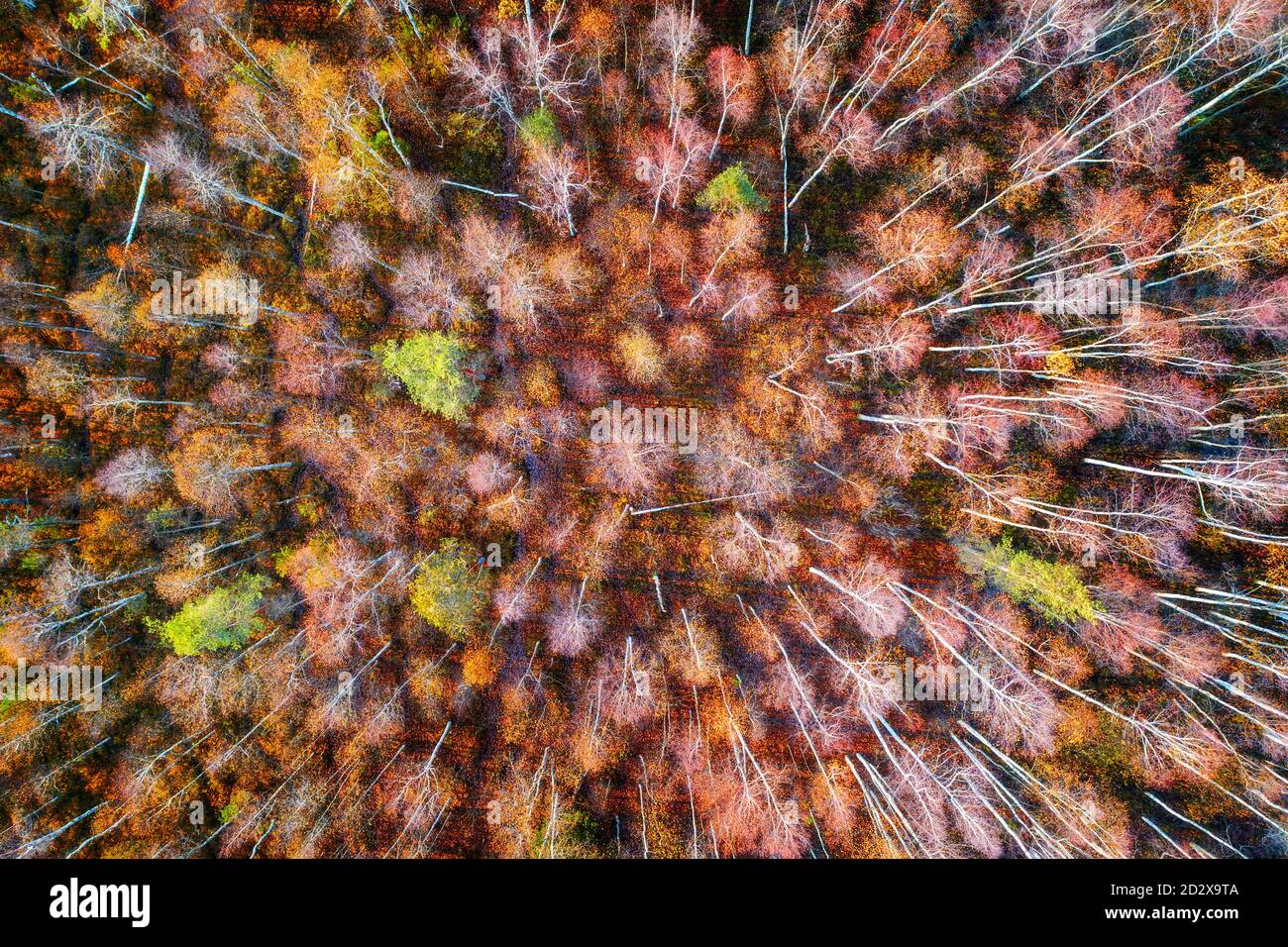Aerial top view autumn landscape hi-res stock photography and images ...