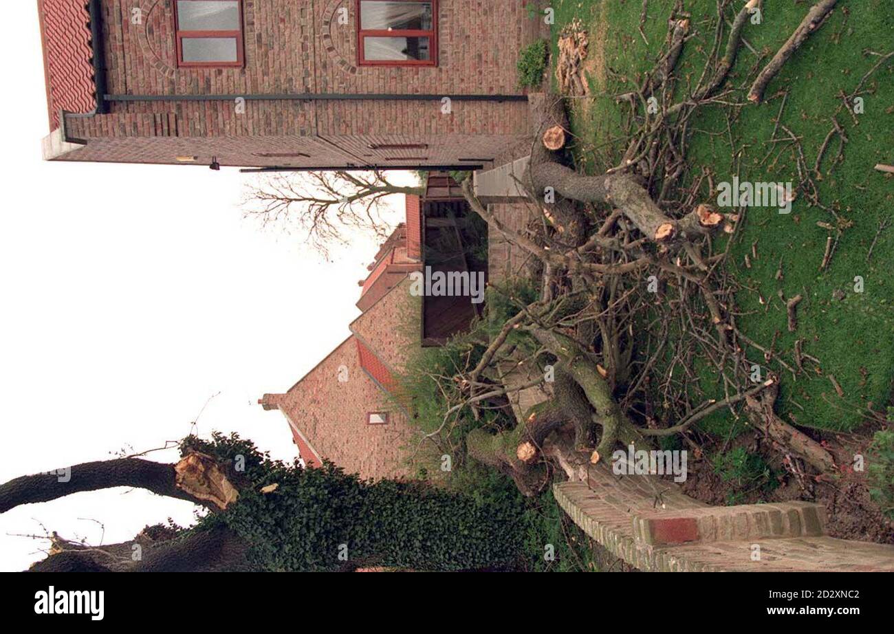A woman died today (Friday) after a tree branch fell on her head as she was gardening. The woman's young daughter alerted neighbours to the tragedy, which happened in the garden of their home in The Green, Wistow, near Selby, North Yorkshire. See PA Story DEATH Tree. PA PHotos. Stock Photo