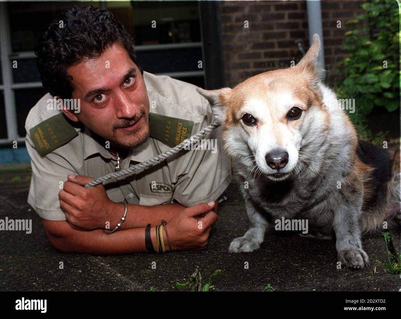 RSPCA ambulance driver Ned Abdurahman with the brown and white corgi with no name tag, whose  remarkable adventure through the London Underground system caused delays for more than 50,000 rush-hour commuters today (Tuesday) and caused one Tube worker to have hospital treatment for a bite wound. See PA Story SOCIAL Dog. Photo by David Cheskin. Stock Photo