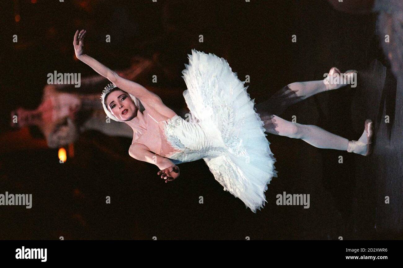 The English National Ballet final dress rehearsal for the largest ever UK production of Swan Lake staring prima ballerina Altynai as Odette-Odile, stage at the Royal Albert Hall this evening (