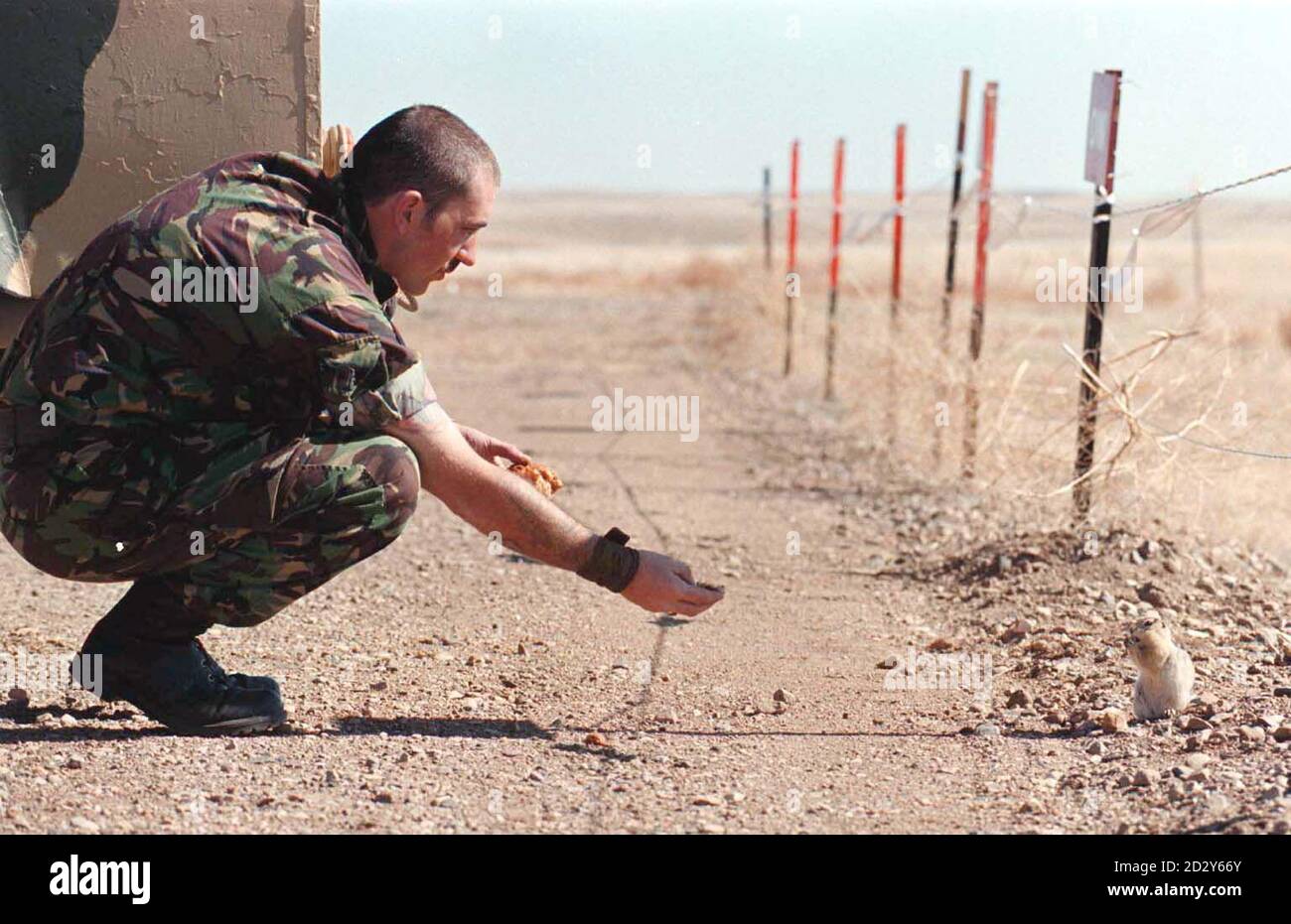 Lance-Corporal Watkins of the Household Cavalry, Life Guards, based in Knightsbridge, London, feeds part of his lunch yesterday (Monday) to one of the gophers that roam around the BATUS camp where Exercise Medicine Man is taking place. BATUS (British Army Training Unit Suffield) is the army's principal training ground for high intensity conflict, based near Medicine Hat, Alberta, Canada. Over 1000 troops take part in Exercise Medicine Man - a 22 day operation consisting 10 days live fire and 12 days Tactical Engagement Simulation using laser-firing weapons that register a 'kill' alert when a Stock Photo