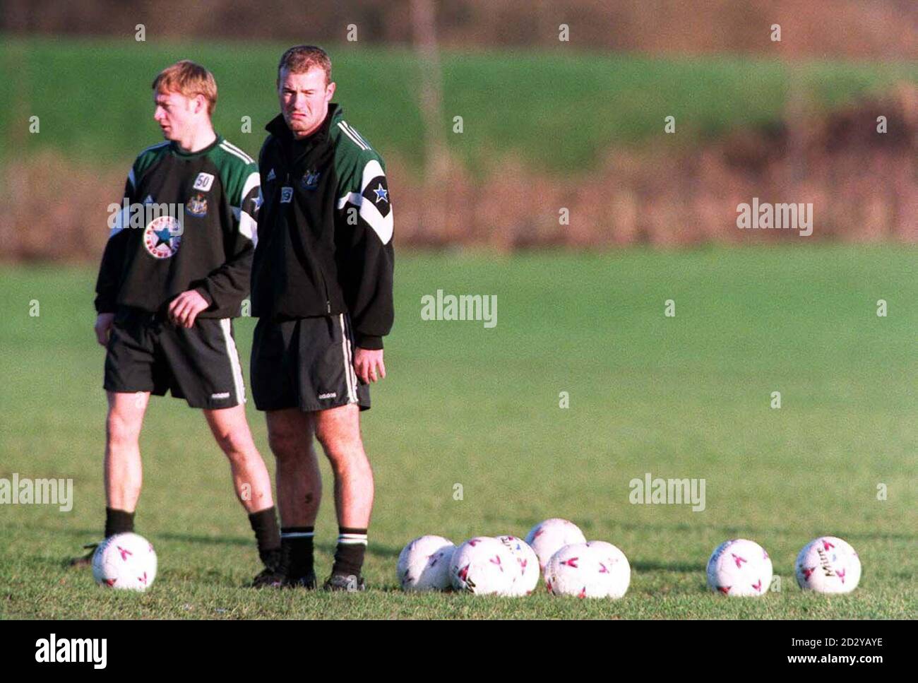 David shearer hires stock photography and images Alamy