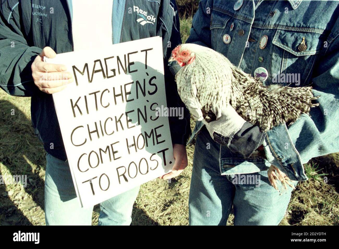 Sacked workers from the Magnet company launched a unique plan to win their case, by opening up a chicken farm near the Cambridgeshire home of the firm's chief executive Alan Bowkett. The GMB union said the idea was to keep pressure on Mr Bowkett, who described the stunt as 'childish'. The union has rented a farm in the village of Croxton and intends to hold a series of events to highlight the plight of workers sacked in 1996 after going on strike over pay and conditions at the firm's factory in Darlington, Co. Durham. Photo by Findlay Kember/PA. See PA Story INDUSTRY Chicken. Stock Photo