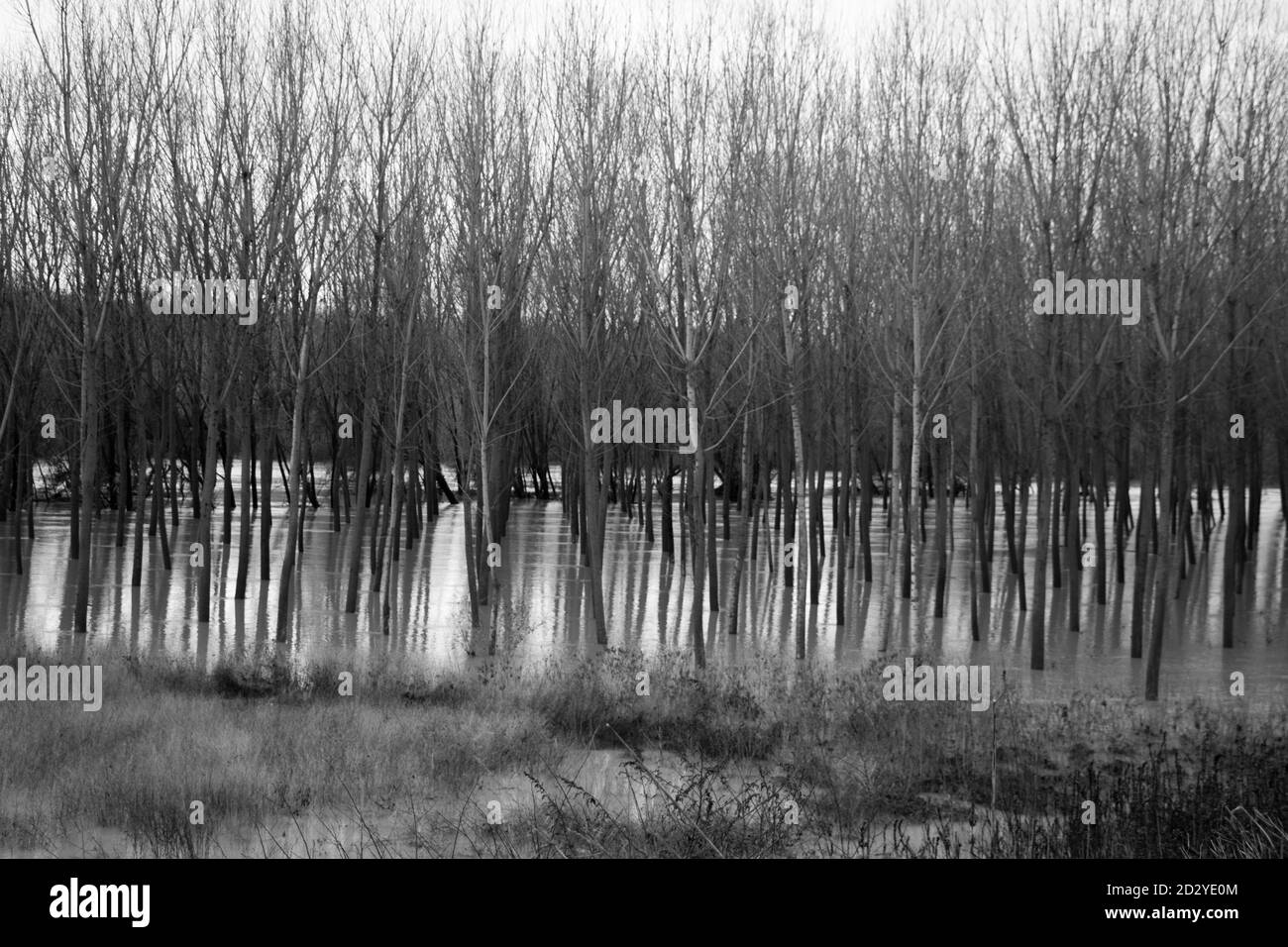 Flood of the Po river, Mantova, Italy Stock Photo