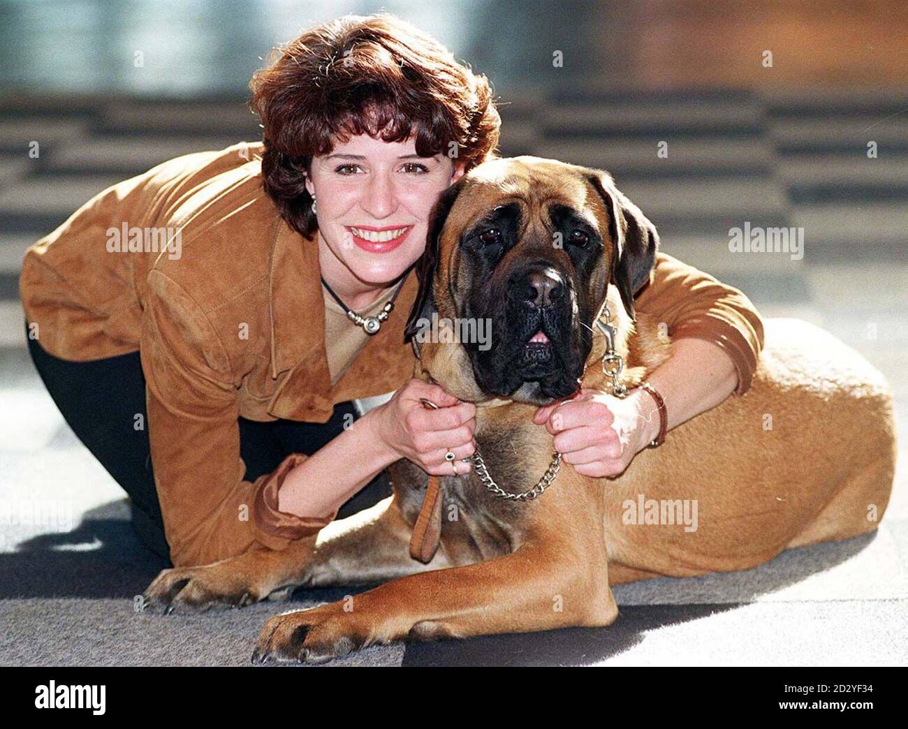 Lucky Dog! 'Chelsea,' an English Mastiff, curls up on the carpet with her famous owner, TV presenter Rosemarie Ford, to promote the 'Dog Obedience Scheme' at the opening day of Crufts Dog Show 1998 at Birmingham's NEC today (Thursday).  Photo by David Jones/PA Stock Photo