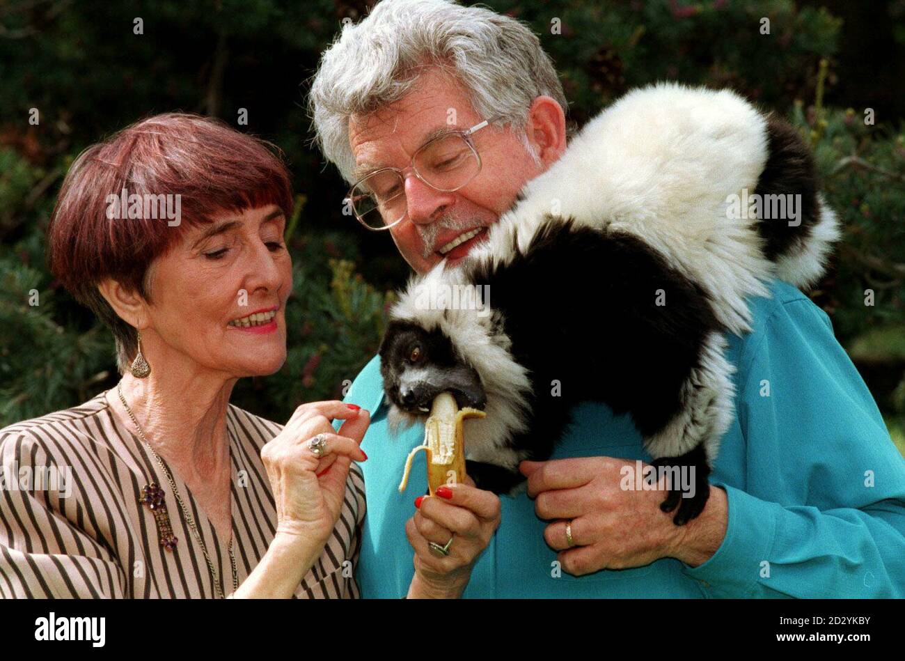 Rolfs amazing world animals hi-res stock photography and images - Alamy Rolfs amazing world animals hi-res stock photography and images - Alamy