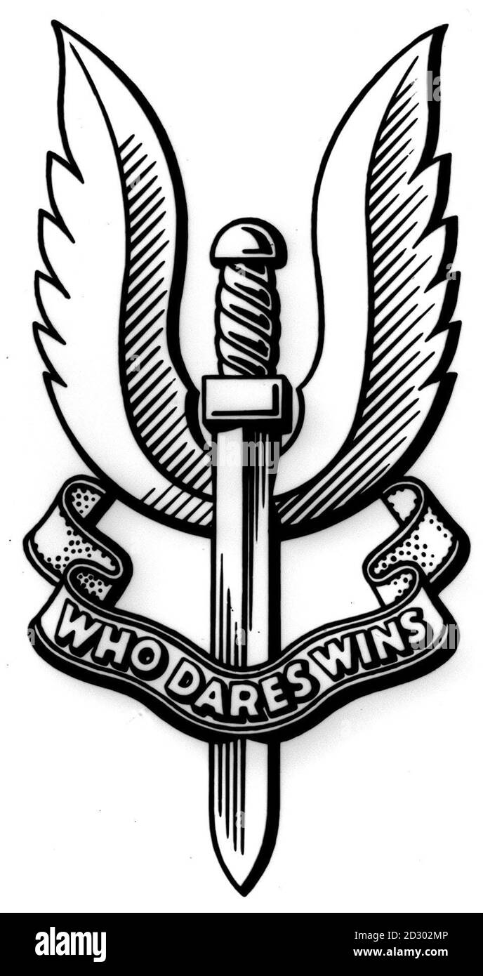 Sas Military Logo