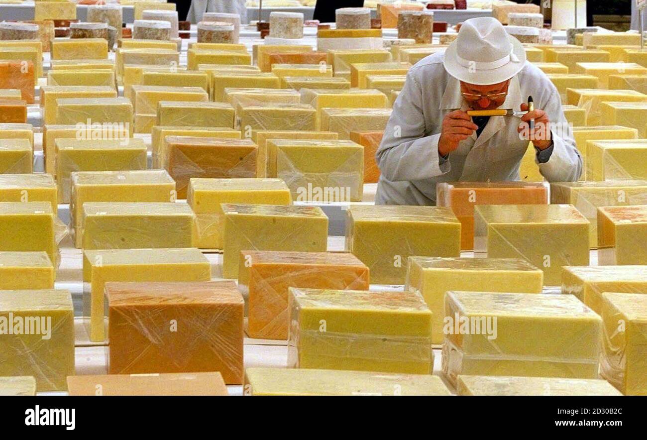 Worlds biggest cheese exhibition hires stock photography and images