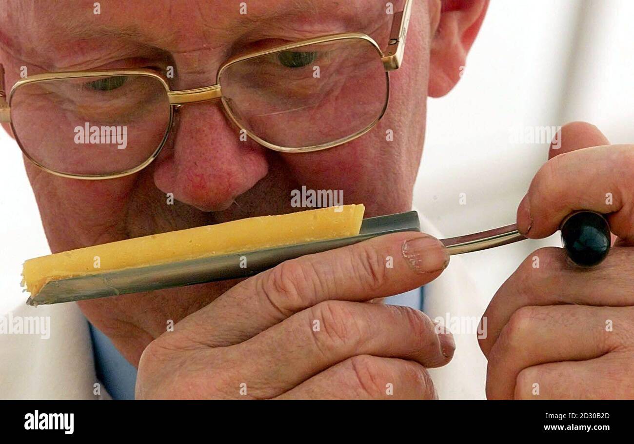 Judging underway on the first day of the International Cheese show in