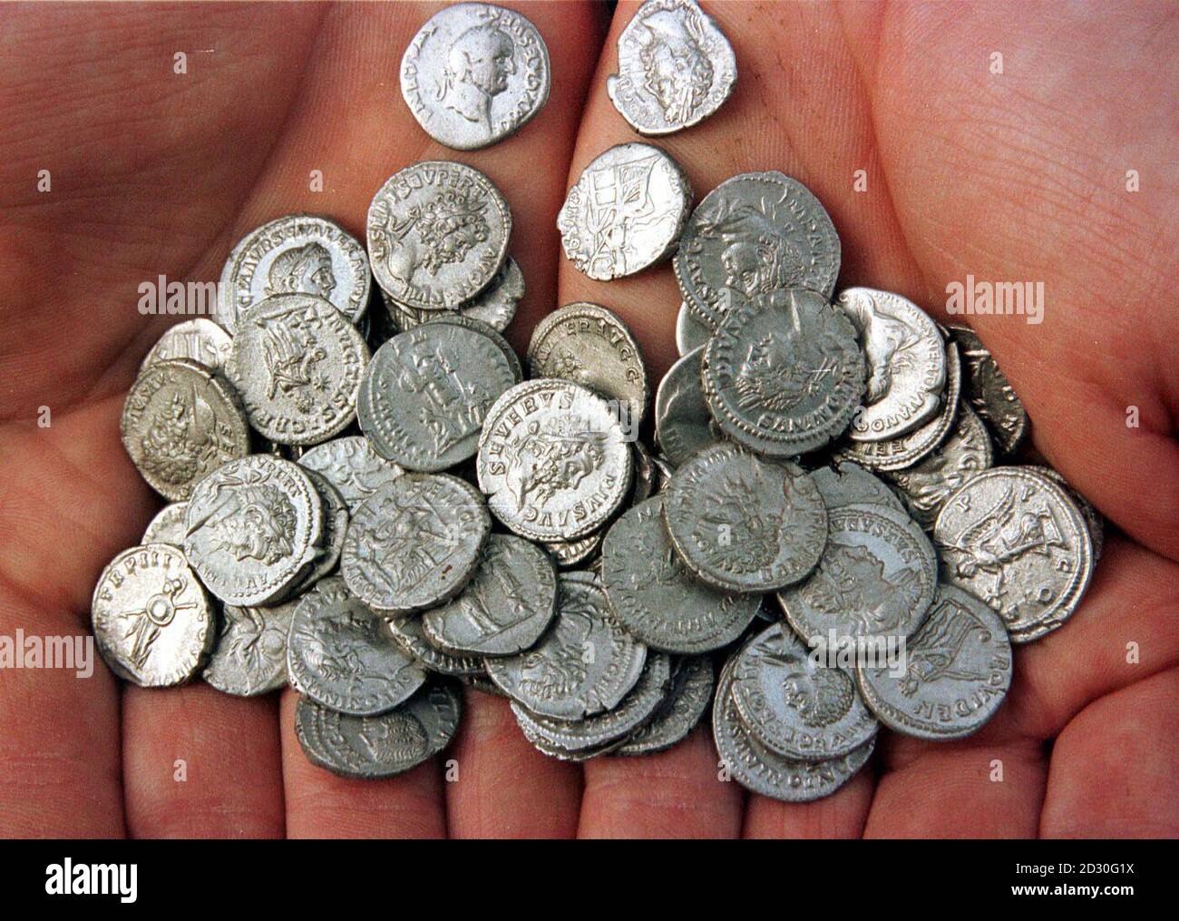 A handful of Roman coins discovered in Britain's biggest find of silver denarii coins. They were uncovered by two cousins using a metal detector. The huge hoard of 9,310 coins, dating from 31BC were found in a field of barley stubble, on Northbrook Farm . * The farm is in Shapwick, near Glastonbury, Somerset. Stock Photo