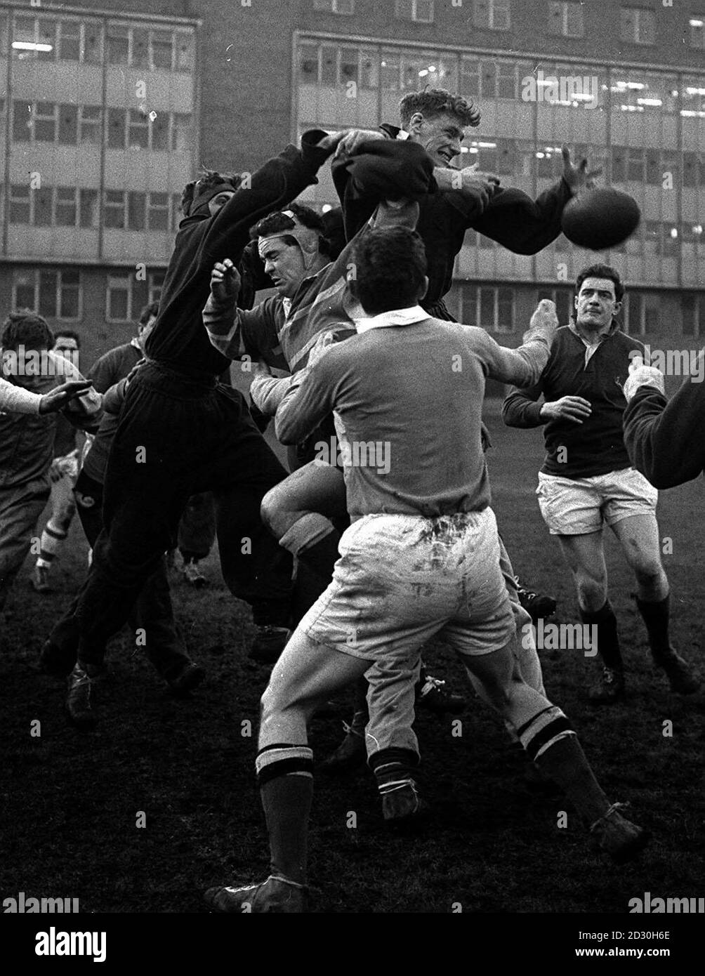 Members of Ireland's team to meet England in the rugby international at Twickenham, practise a line-out as they train at the honourable Artillery Company's ground in London.  Jumping and about to grab the ball is Willie McBride.    * In right background is Bill Mulcarhy, the captain. Stock Photo