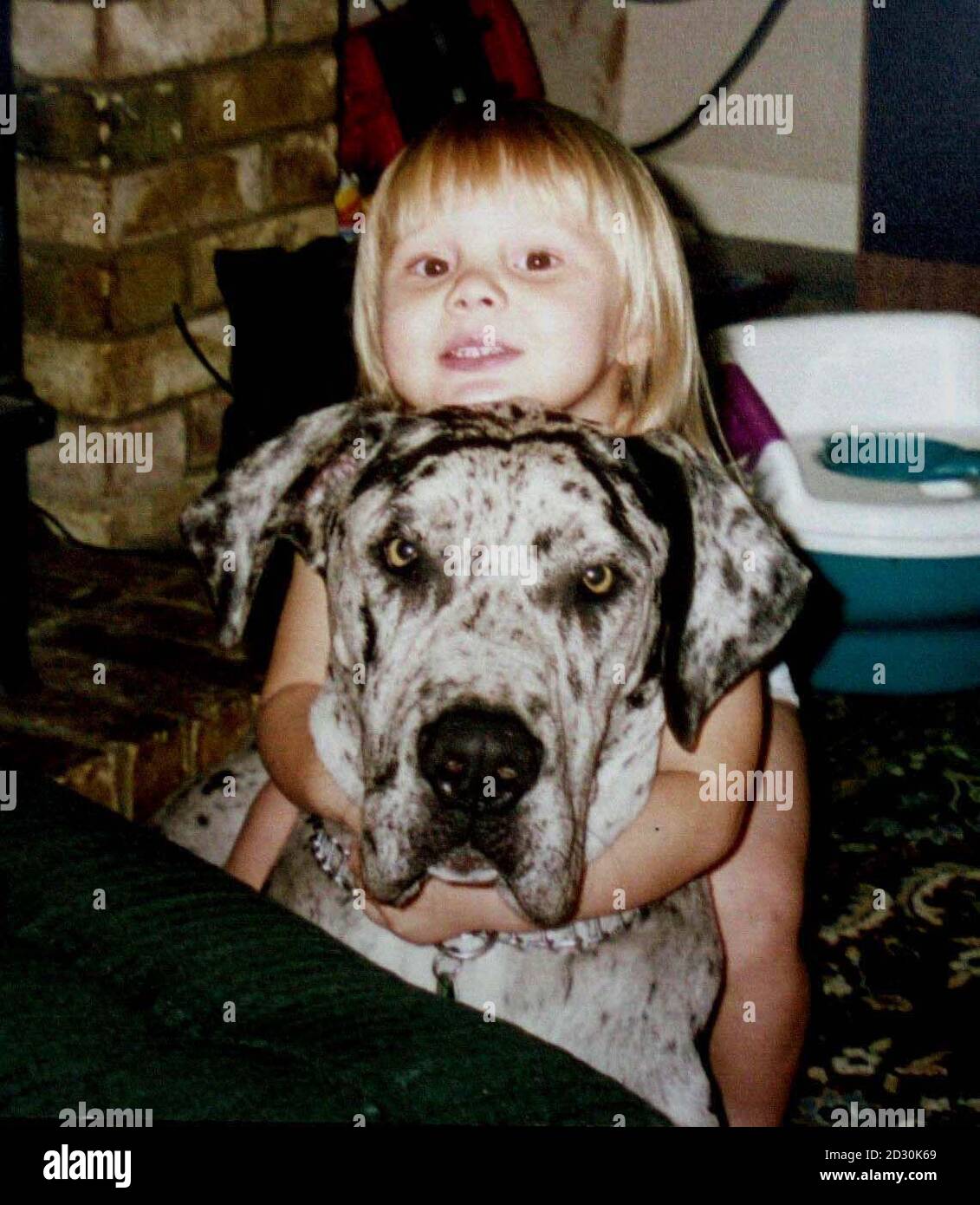 Undated collect photo of Chloe Bean and family dog Zeus. The young family suspects their noisy Great Dane dog was shot dead and taken away from their garden while they were out. Charles Bean, 28, and his wife Jennifer, 24, returned to their home in Brandon, Suffolk, with their two children, Chloe, three, and Zoe, 18 months and found two-year-old Zeus gone  and a trail of blood in their garden. PA photo: See PA story POLICE Dog Stock Photo