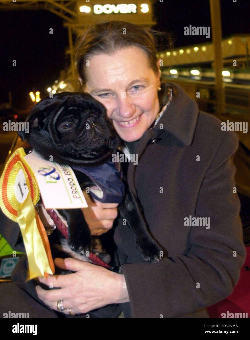 Owner Helen de Borchgrave with Frodo Baggins, arriving at Dover, as the five-year-old dog became the first animal to enter Britain using a pet passport. Frodo Baggins travelled from Calais in France to Dover on a cross-channel ferry. Stock Photo
