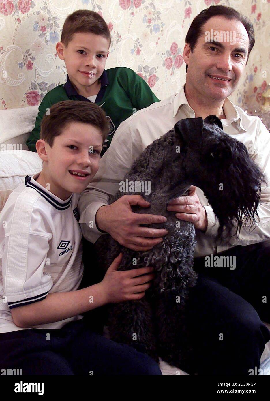Back at home Crufts winner Mike, show name Champion Torums Scarf Michael, relaxes at his Birkenhead home with owner Ron Ramsay and his children Alex (R) and Chris, the day after Mike won the Best in Show category at the last British-only Crufts dog show. Stock Photo