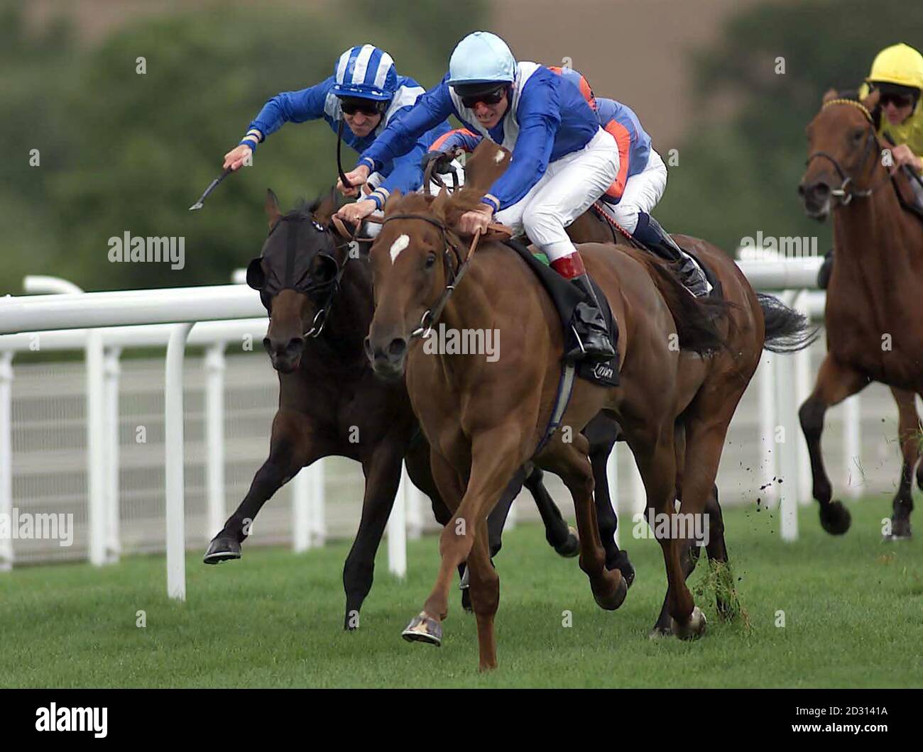 Johnny Murtagh on No Excuse Needed (nearest) wins the Champagne Lanson Vintage Stakes at glorious Goodwood, the second of five days festival racing at the West Sussex track. Stock Photo
