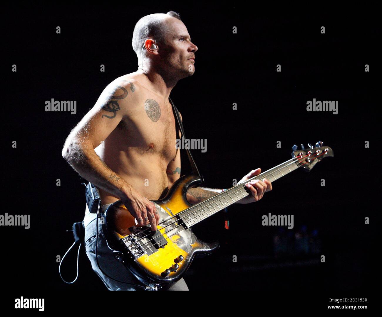 Red Hot Chili Peppers Bassist Flea High Resolution Stock Photography