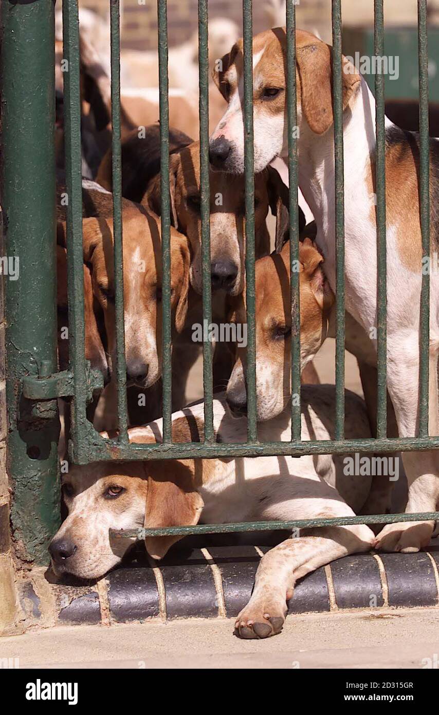 Smashed bricks hires stock photography and images Alamy