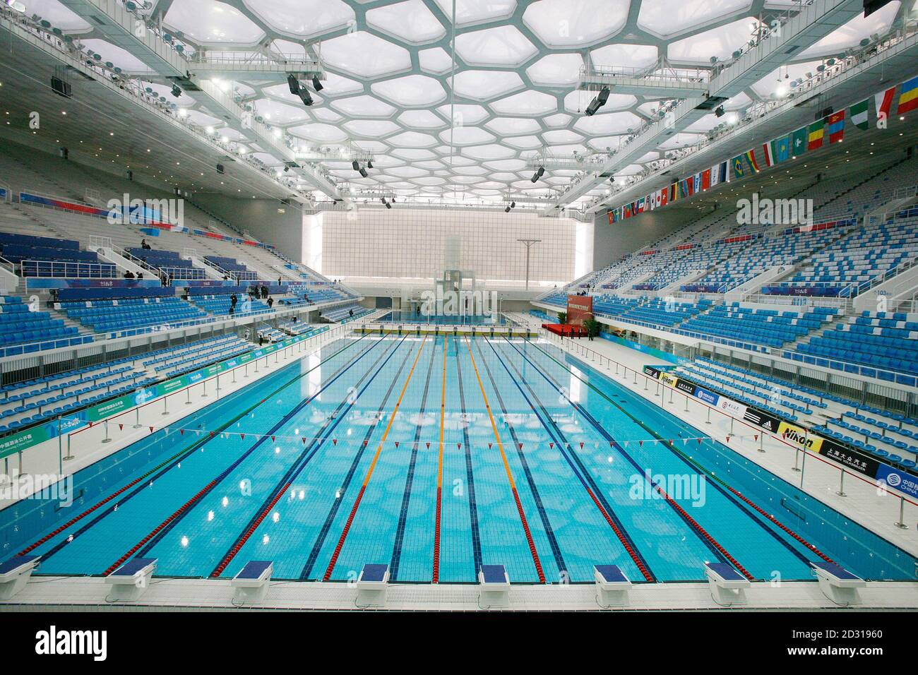 olympic pool diving