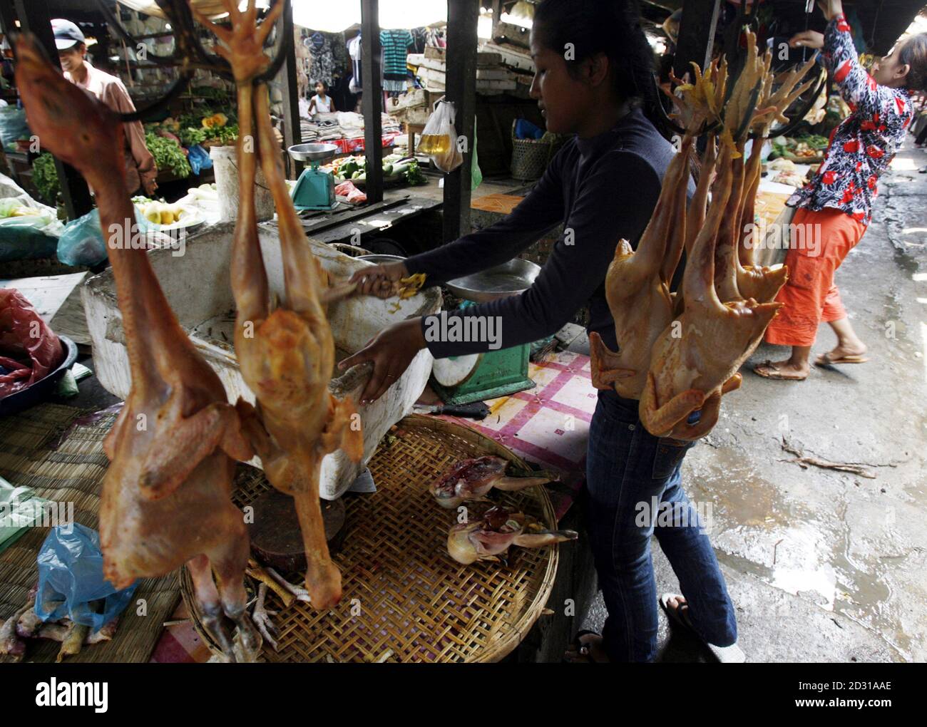 A lady prepares chickens for sale at Phnom Penh market March 27, 2008. The World Bank Group today approved a $6 million grant to support Cambodia's efforts to implement a national plan to minimize the threats from avian and human influenza, and to prepare its health systems to respond to any possible outbreak in the future.  REUTERS/Chor Sokunthea (CAMBODIA) Stock Photo