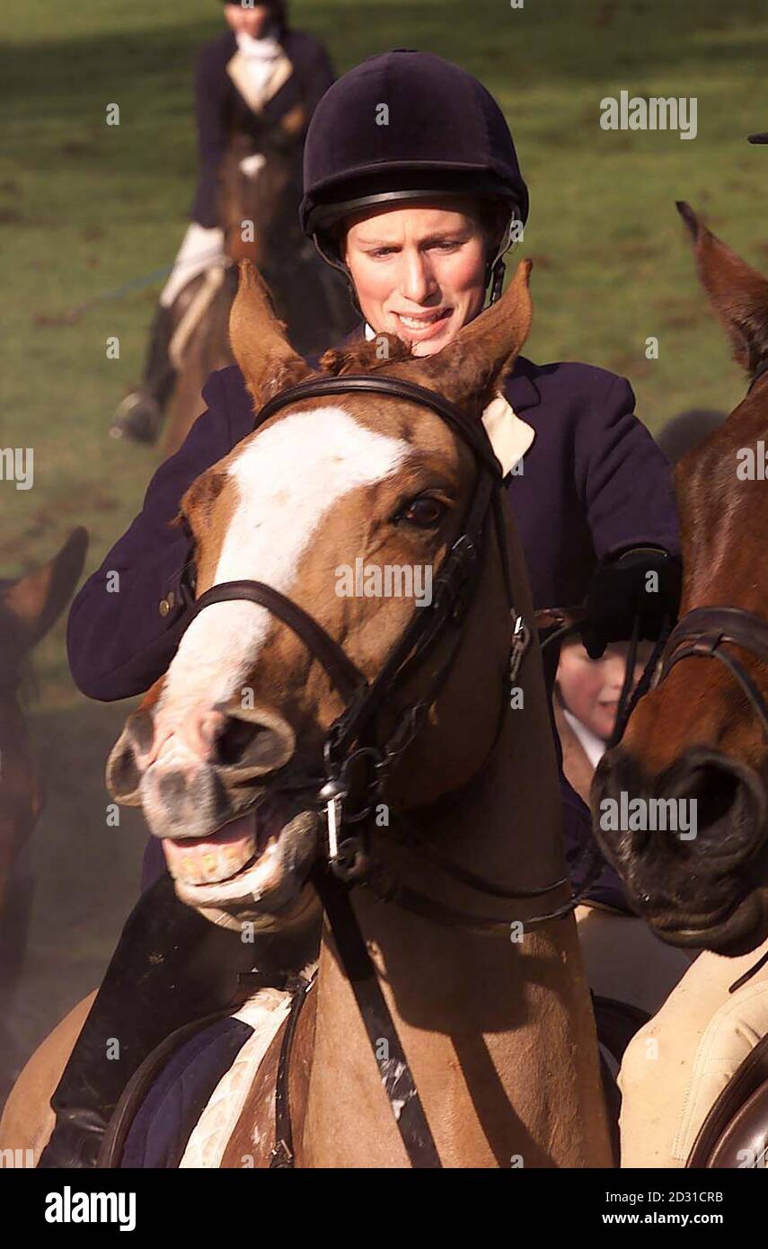 Zara Phillips, daughter of the Princess Royal riding with the Beaufort  Hunt. Zara was later joined by Prince William near his father's, the Prince  of Wales, Highgrove home at Tetbury, Gloucestershire Stock