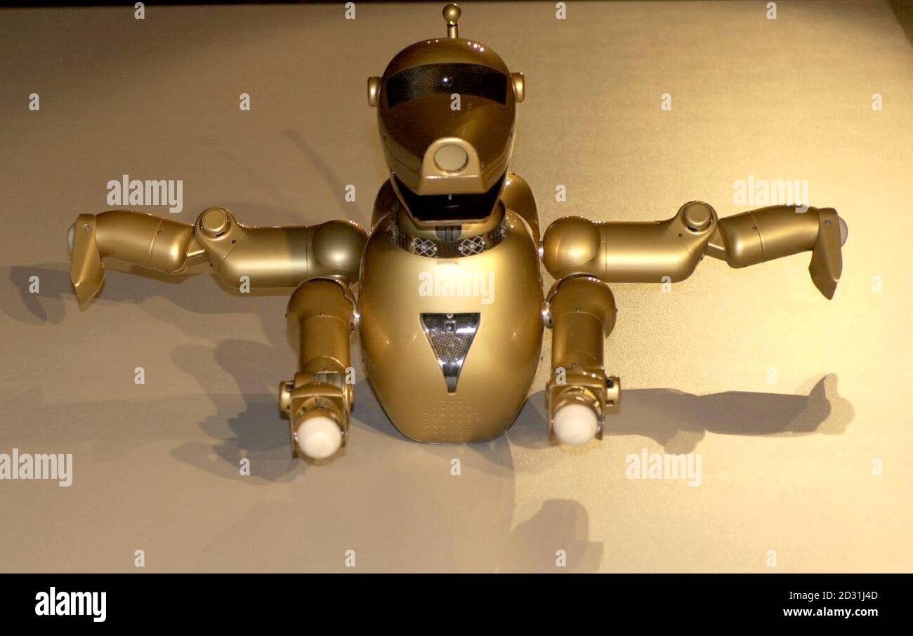 labrador robot