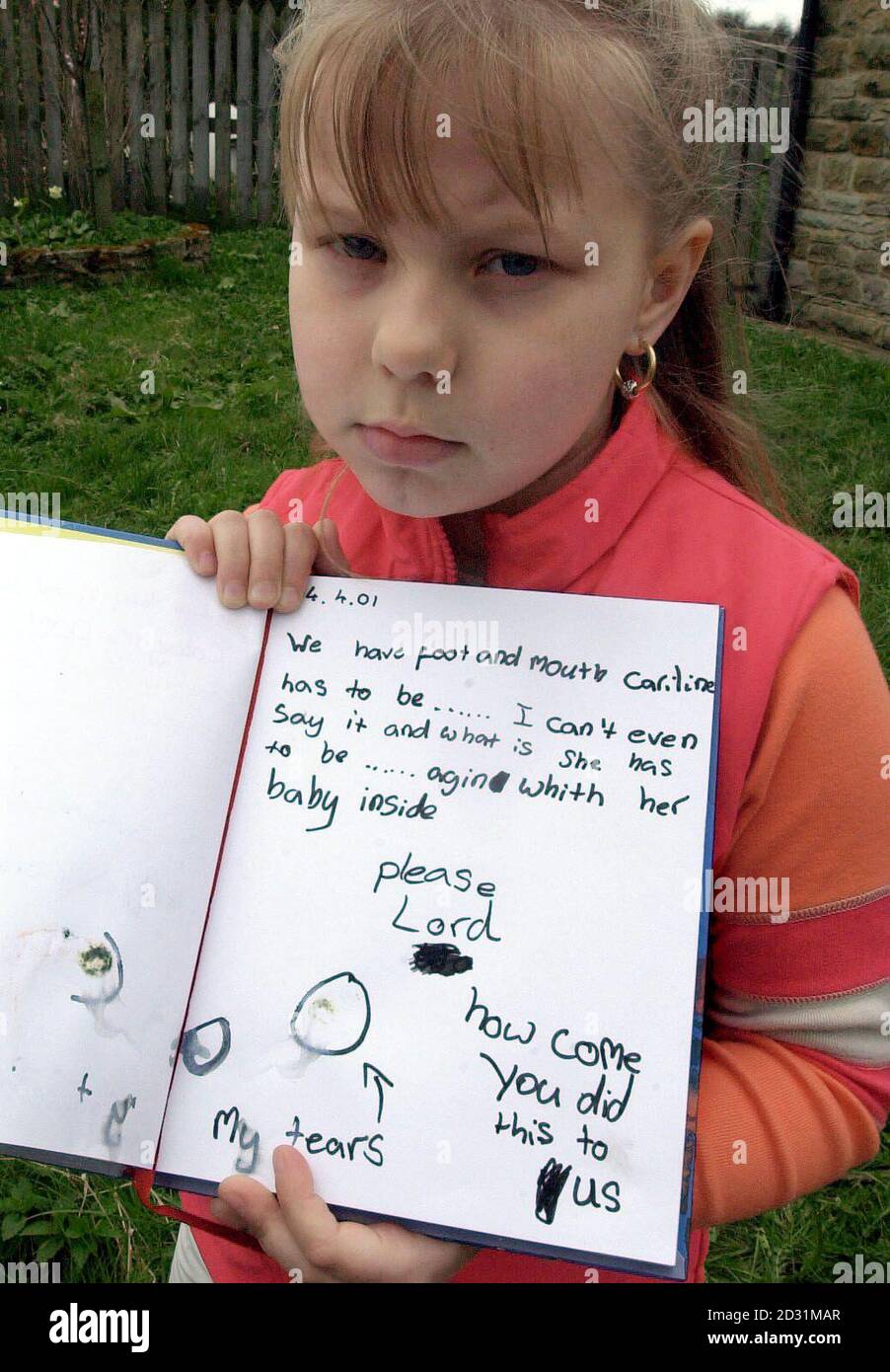 Eight-year-old Jessica Cleminson at her home in West Auckland, County Durham, holding a page from her diary showing her heartache at losing her favourite cow to the foot-and-mouth outbreak. * Despite being scarcely old enough to understand the magnitude of the disease, her thoughts and feelings as shown in the diary graphically depict the trauma caused when Ministry of Agriculture officials ordered that her 14-year-old pet cow, Caroline, was to die. News that Caroline and the rest of Jessica's father's herd were to be culled came the day after the little girl wrote that the prized pet was ex Stock Photo
