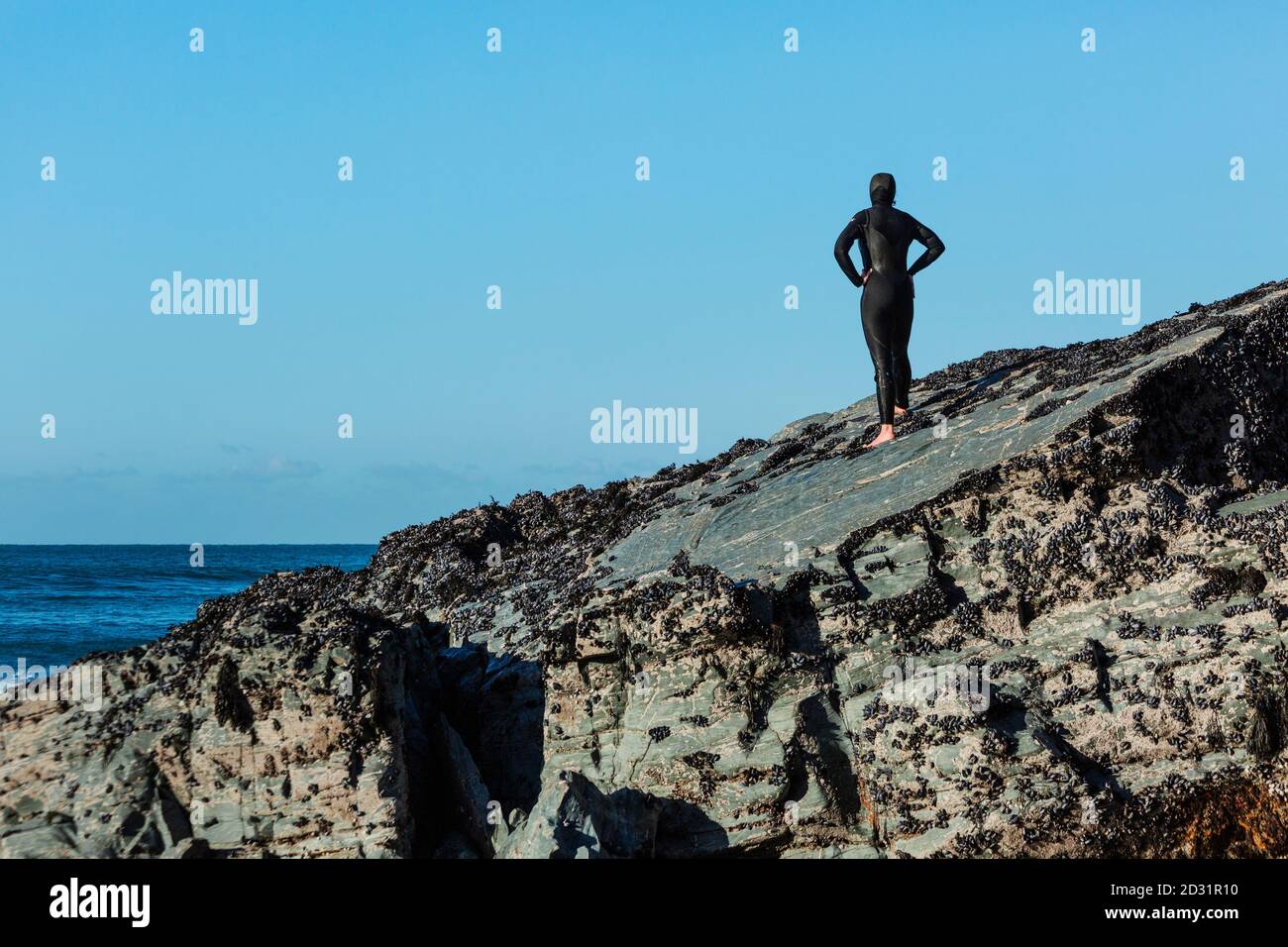 Woman in a wetsuit standing on rocks looking out to sea in Cornwall, UK Stock Photo