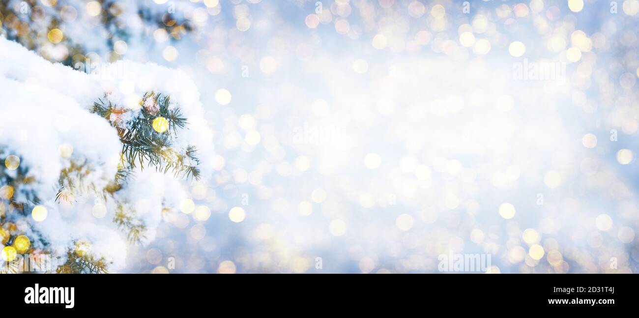 Winter fir tree christmas scene with sunlight. Fir branches covered with snow. Christmas winter blurred background with garland lights, holiday festiv Stock Photo
