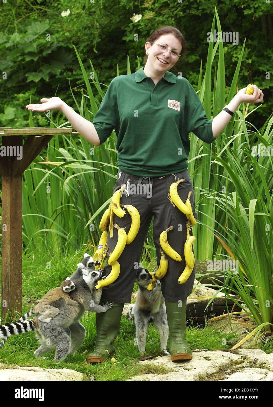 A Bristol Zoo Gardens Primate Keeper Sarah Monday, 21 has gone bananas