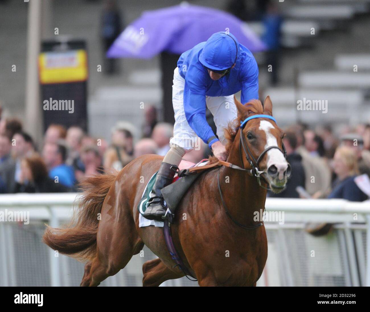 Dawn Approach ridden by Kevin Manning wins The Goffs Vincent O'Brien Stakes at Curragh Racecourse, Curragh. Stock Photo