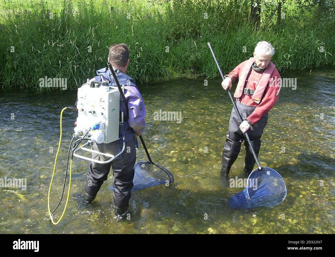 Environment agency fisheries officers fishing electrical fishing
