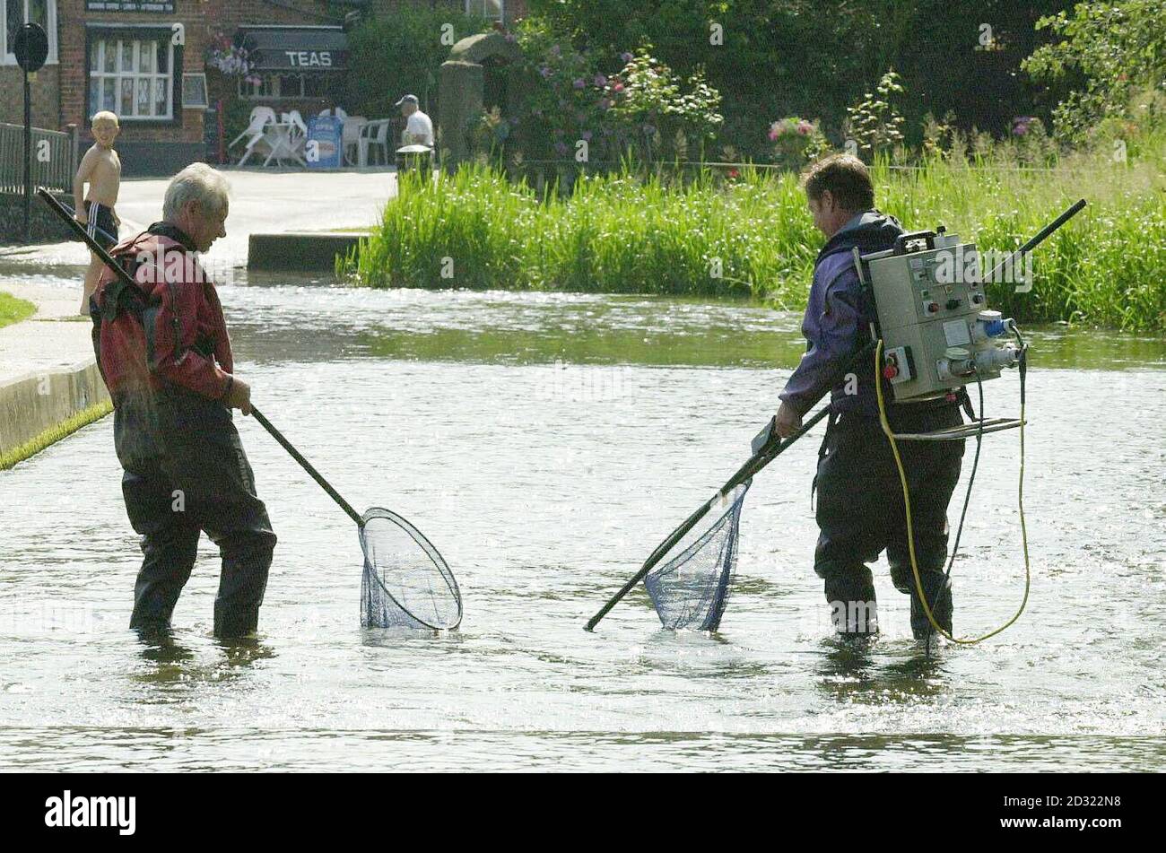 Environment Agency Fisheries officers fishing with electrical fishing