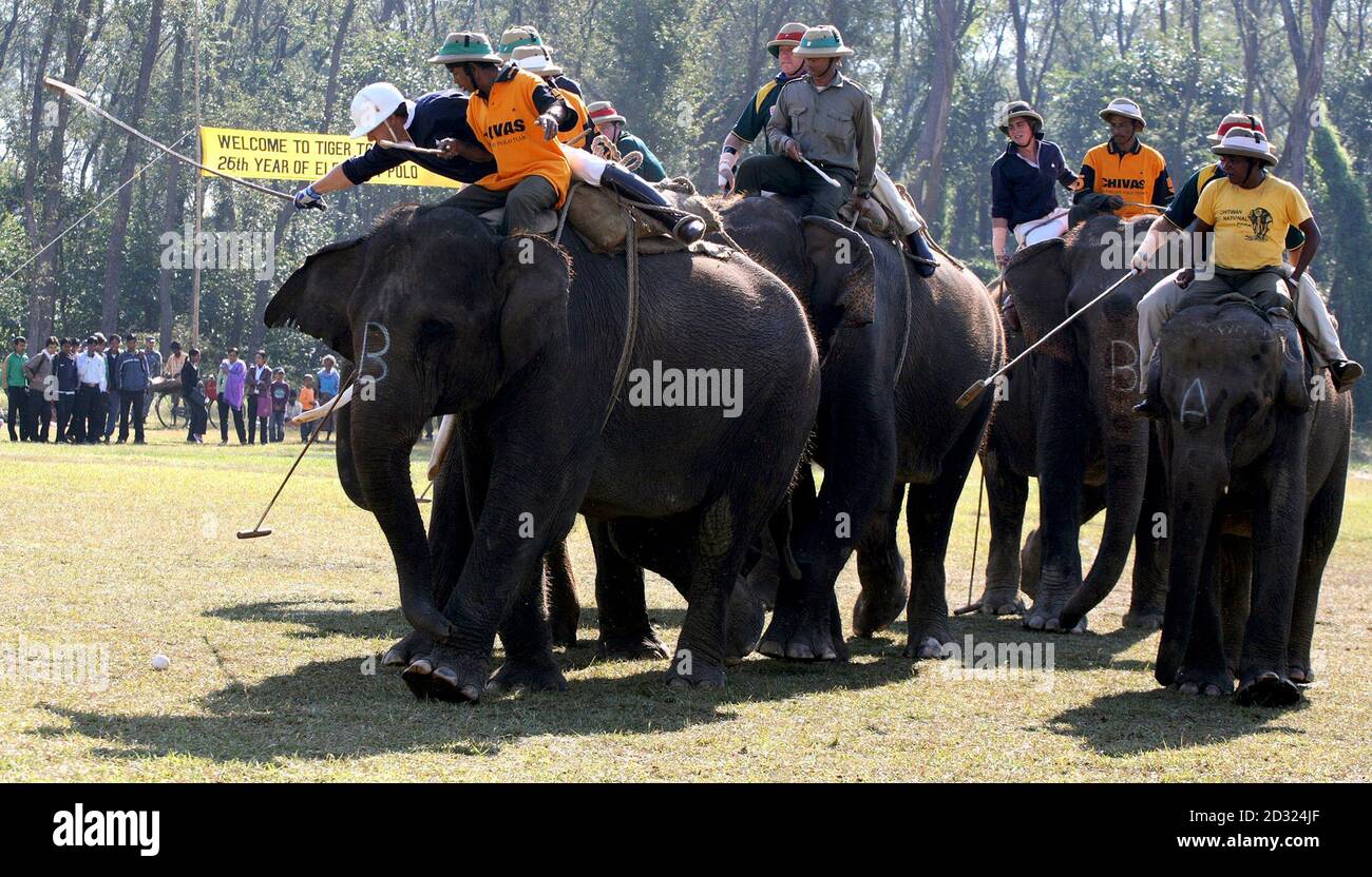 Players chase for the ball during the World Elephant Polo competition in  Chitwan, about 200 km (124 miles) southwest of Kathmandu November 23, 2007.  The World Elephant Polo Association marks 26th year