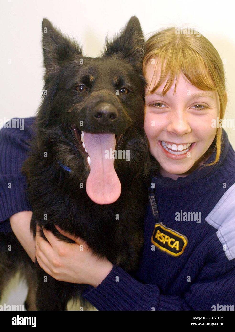 Gerry, the one year old dog that animal welfare experts believe may have been thrown into a canal with its mouth taped shut, is looked after by the RSPCA's Claire Chapman, 18, at the charity's animal centre in Coventry.  * ....  A passer-by discovered the one-year-old black and tan cross breed on the bank of the canal at Little Heath, nr Coventry, with white industrial tape wrapped around his muzzle and a wet coat. Stock Photo