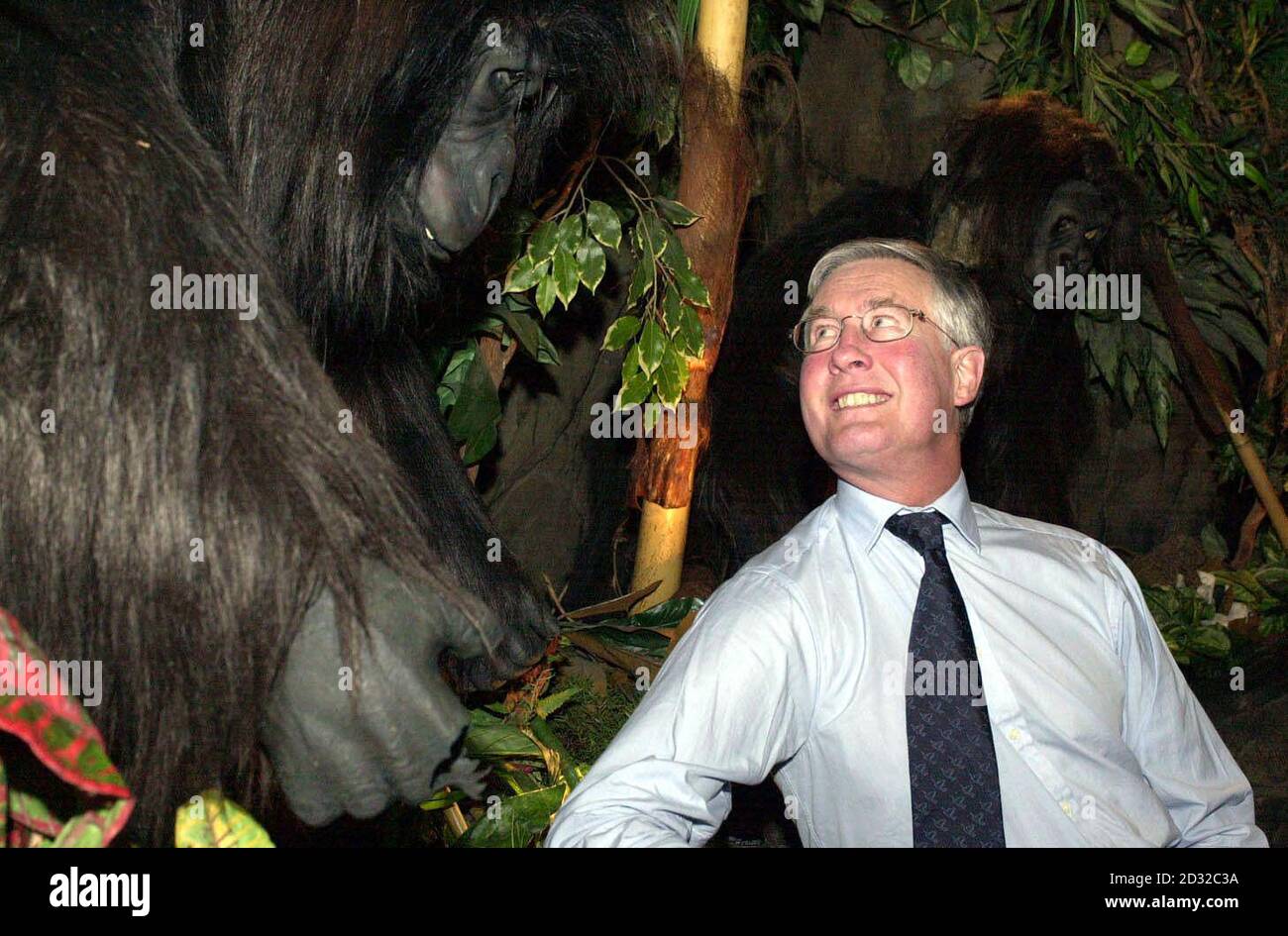 Rainforest cafe london hires stock photography and images Alamy