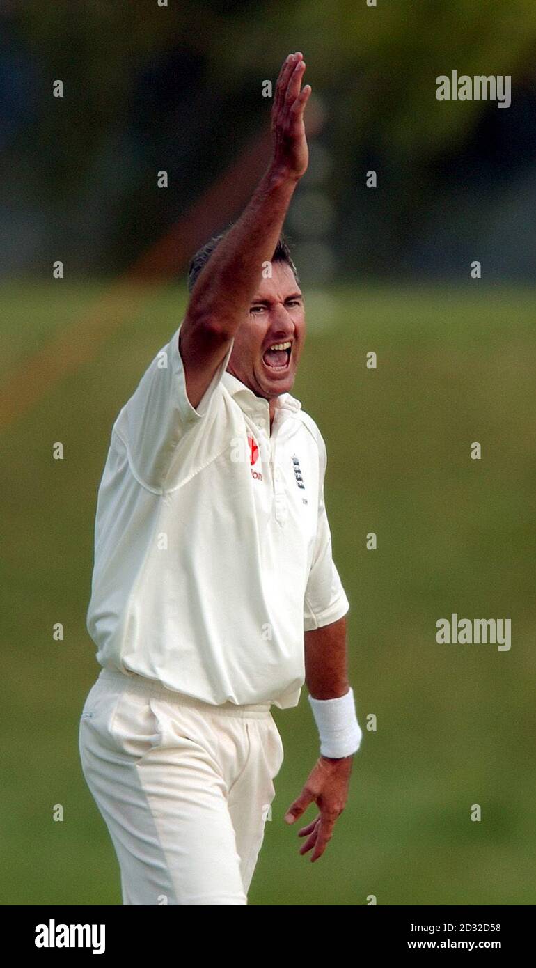 England's Andrew Caddick appeals unsuccesfully for a wicket during the second day of their friendly match against Otago at Davies Park, near Queenstown, New Zealand.  Stock Photo