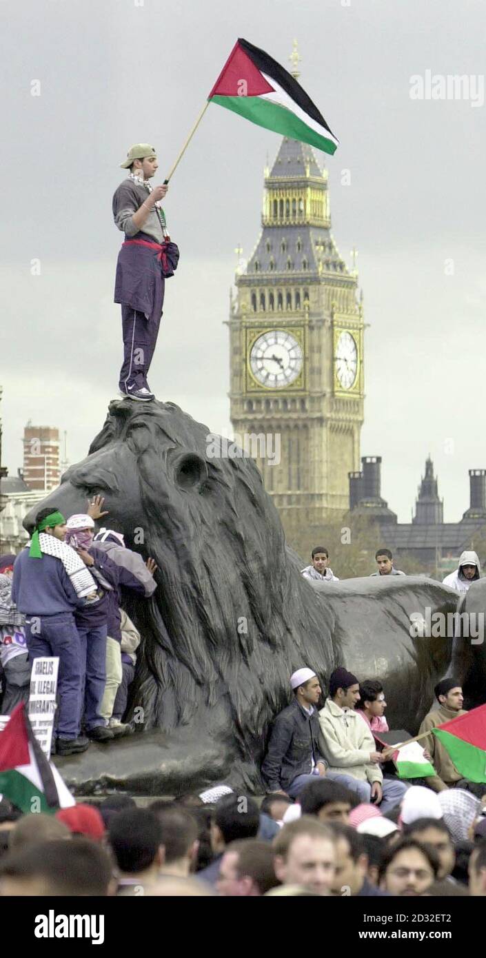 A young man holding a Palestinian flag stands on the head of one of the lions in Trafalgar Square, in central London as thousands of British Muslims held a demonstration in the square in protest at the Israeli action against Palestinians in the Middle East. *Demonstrators tore and burnt this Israeli flag as they clambered up Nelson's Column. Despite appeals from the organisers, the Muslim Association of Britain, to keep order, scores of people crammed into the centre of the square shouting "down with Israel" and "jihad" - which is the Muslim call to holy war. Stock Photo