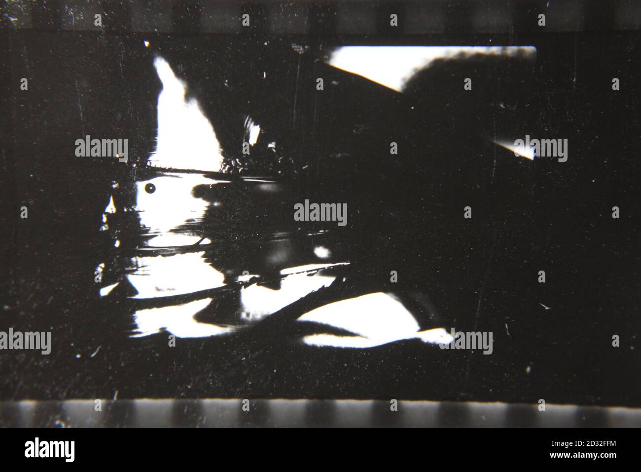 Fine 1970s vintage black and white photography of a dreamy abstract ...