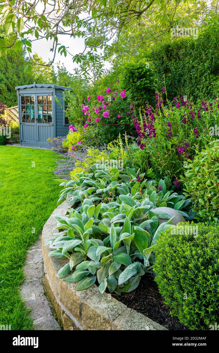 Landscaped sunny private garden (contemporary design, summer flowers, border plants, summerhouse shed, low stone wall, lawn) - Yorkshire, England, UK. Stock Photo