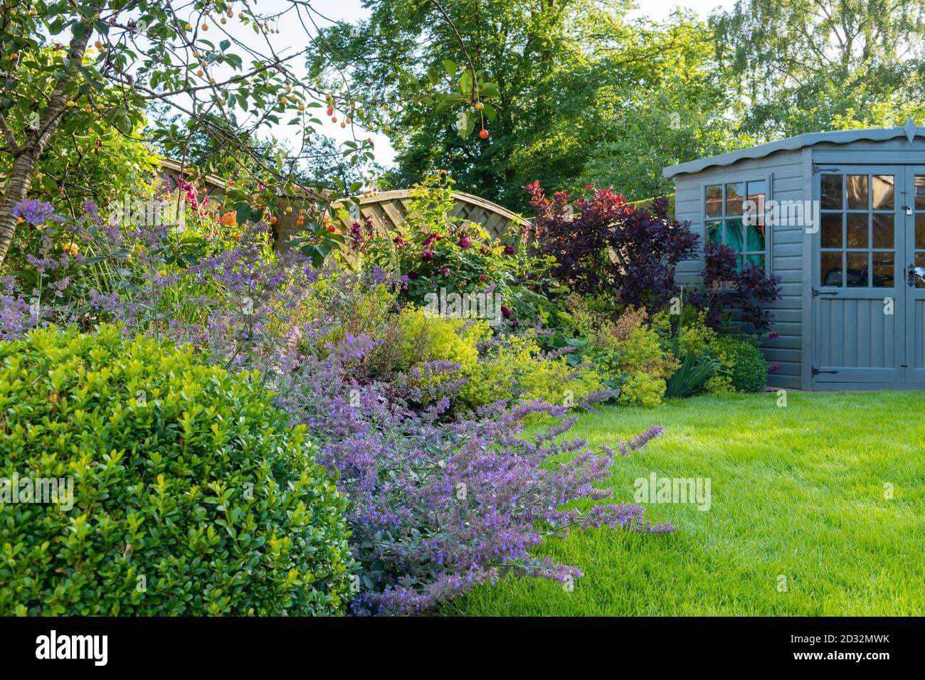 Landscaped sunny private garden (contemporary design, summer flowers, border plants & shrubs, corner summerhouse shed, lawn) - Yorkshire, England, UK. Stock Photo