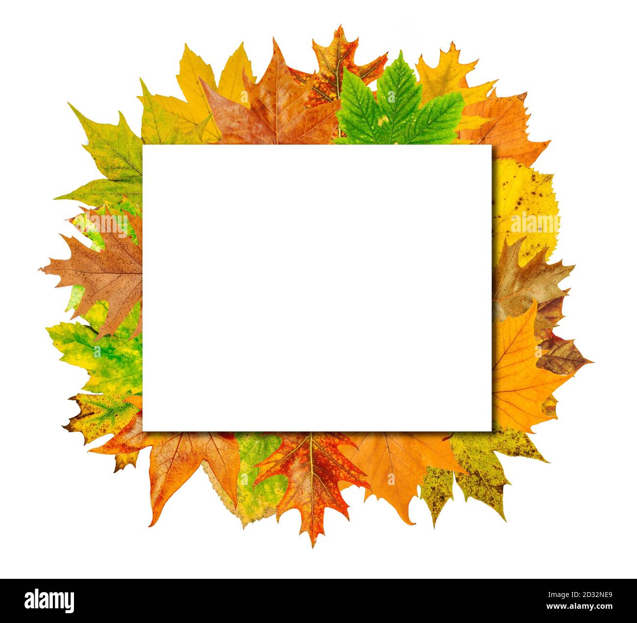 Autumn wooden background with colored leaves Stock Photo - Alamy