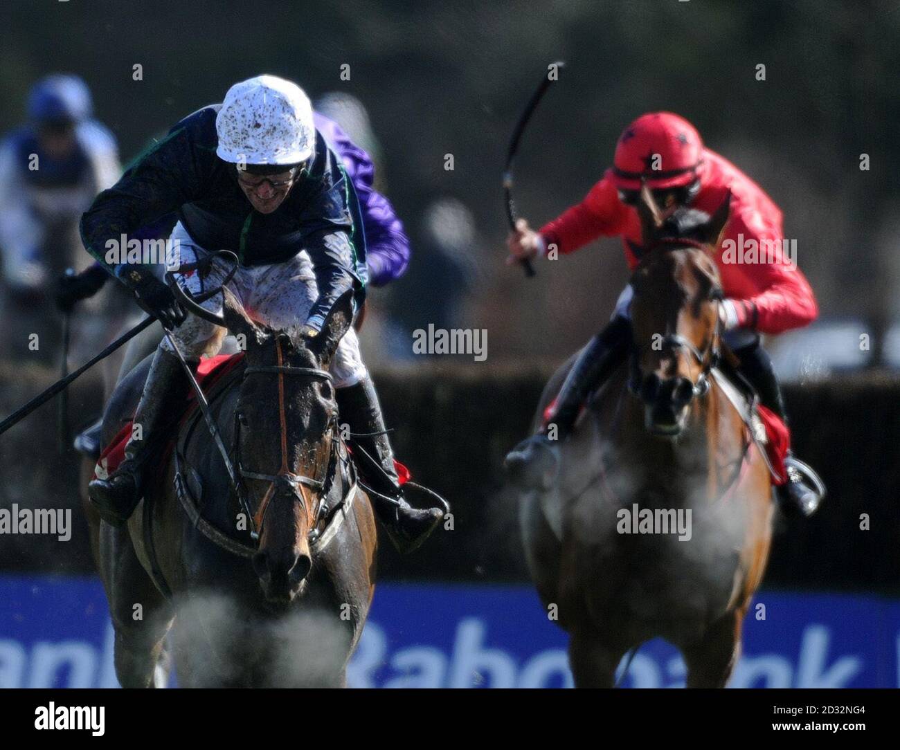 Madam Bovary ridden by jockey Robert Power on their way to victory in The Aon Novice Handicap Chase during the Rabobank Champion Hurdle Day of the 2013 Festival at Punchestown Racecourse, Co Kildare, Ireland. Stock Photo