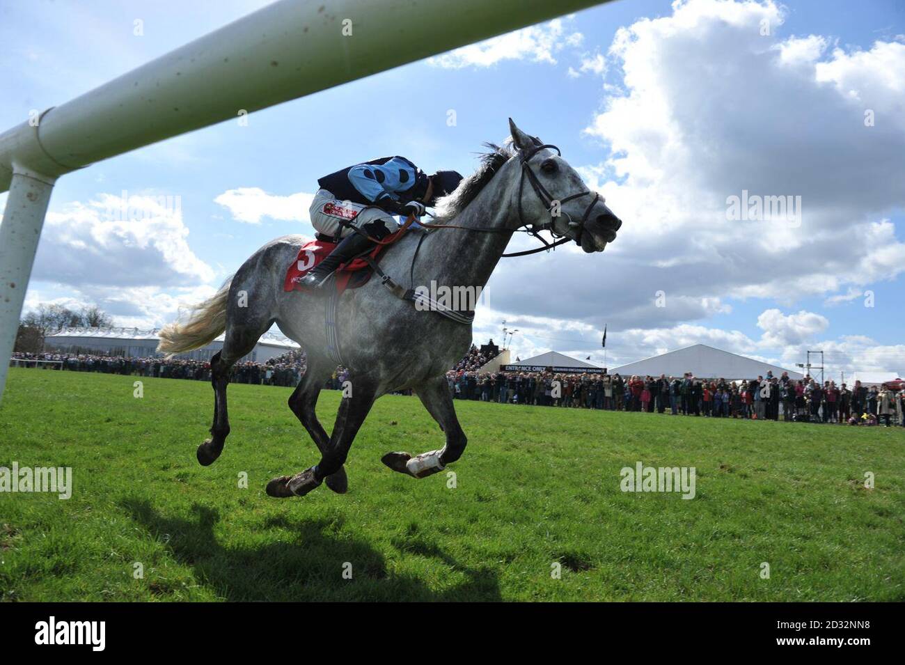 Grey Gold ridden by jockey Bryan Cooper on their way to victory in the Madra Irish Dog Foods Novice Steeplechase during the AES Festival Family Day of the 2013 Festival at Punchestown Racecourse, Co Kildare, Ireland. Stock Photo