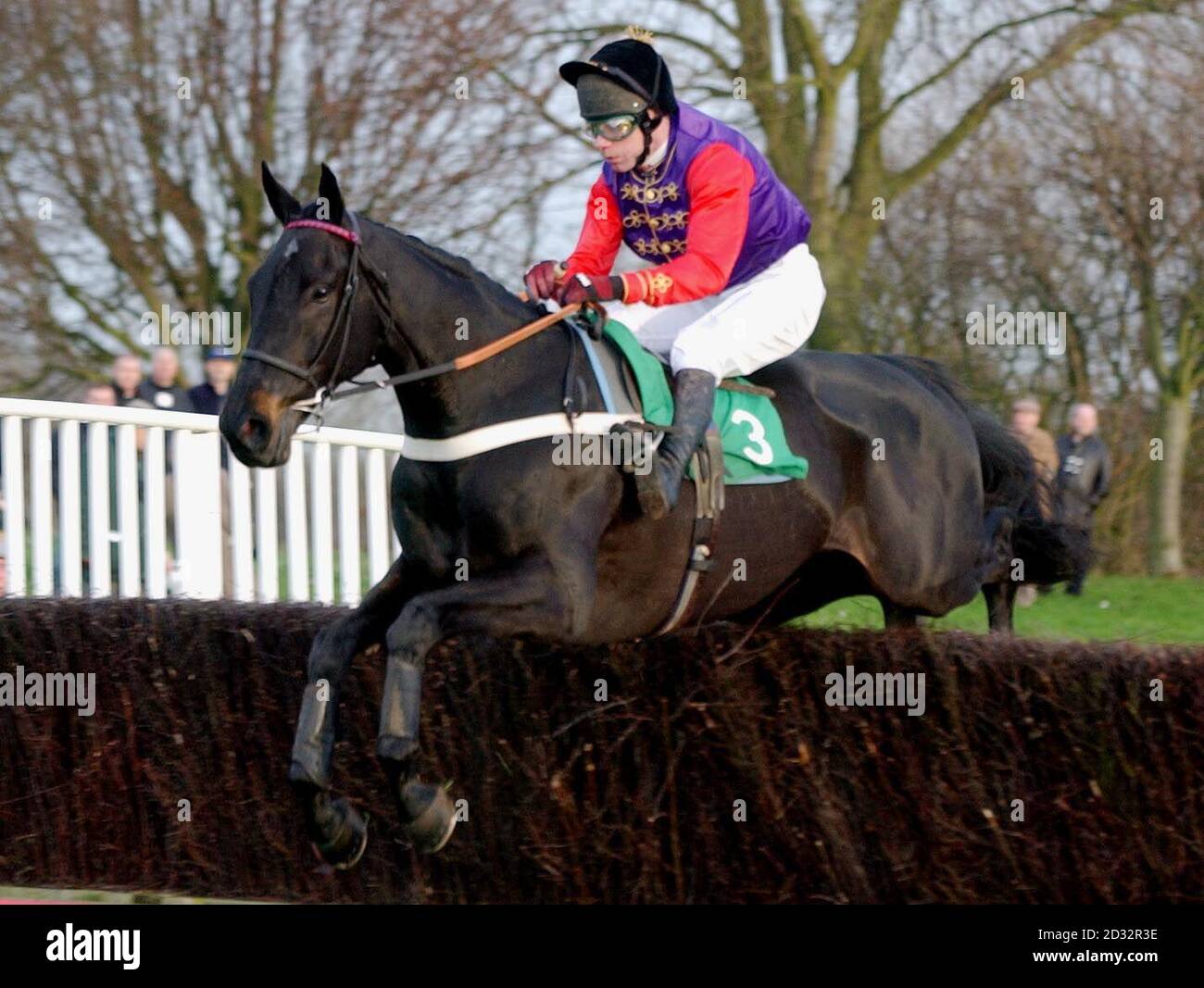 Mick Fitzgerald riding First Love (3) finishes second during    The UK Beginners Steeple Chase at Uttoxeter Race Course. Stock Photo