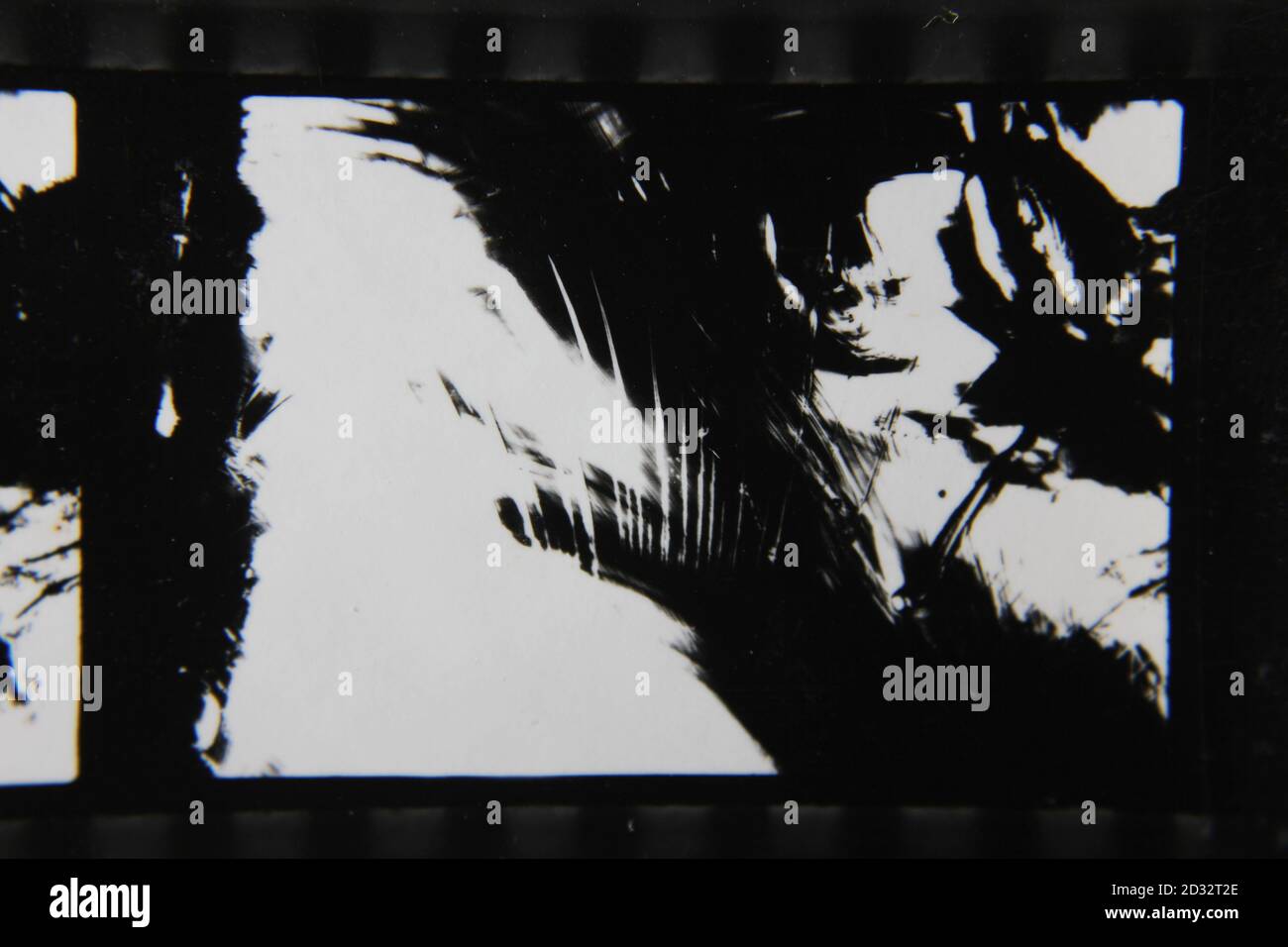 Fine 1970s vintage black and white photography of a dreamy abstract ...