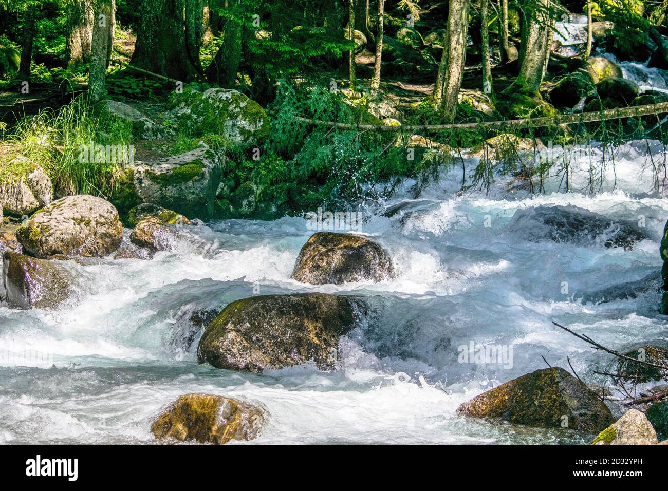 the water of a stormy mountain river flowing among stones and boulders ...
