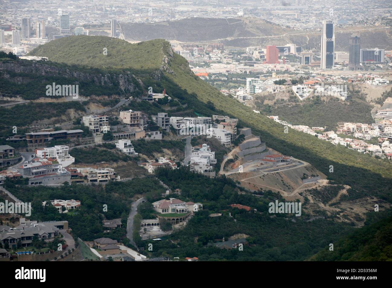 Black Bears In Mexico Hi-res Stock Photography And Images - Alamy