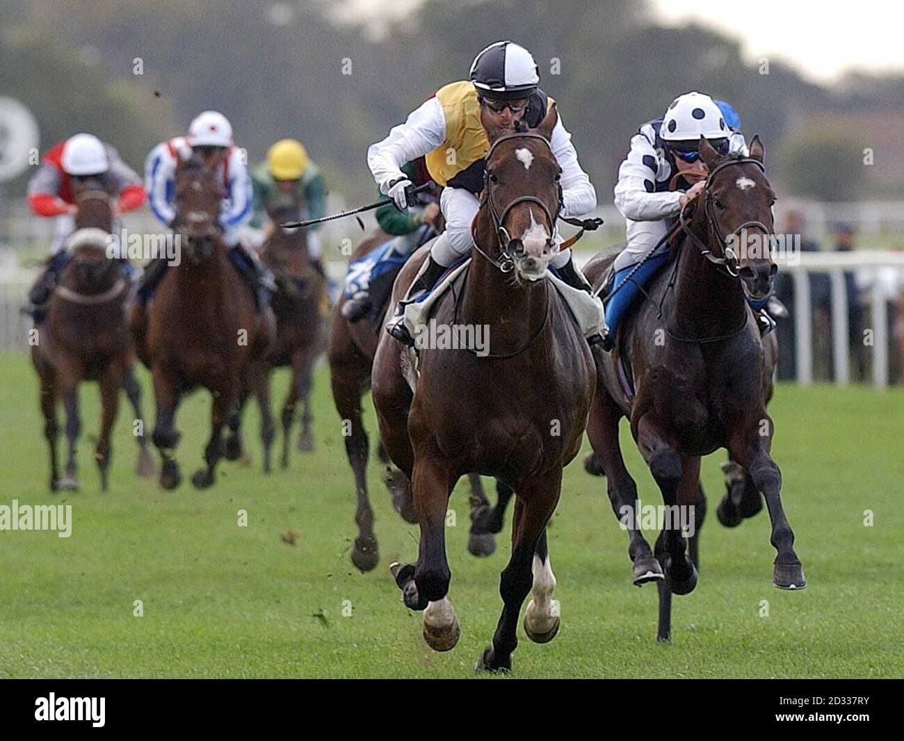 Fallon 200th hi-res stock photography and images - Alamy