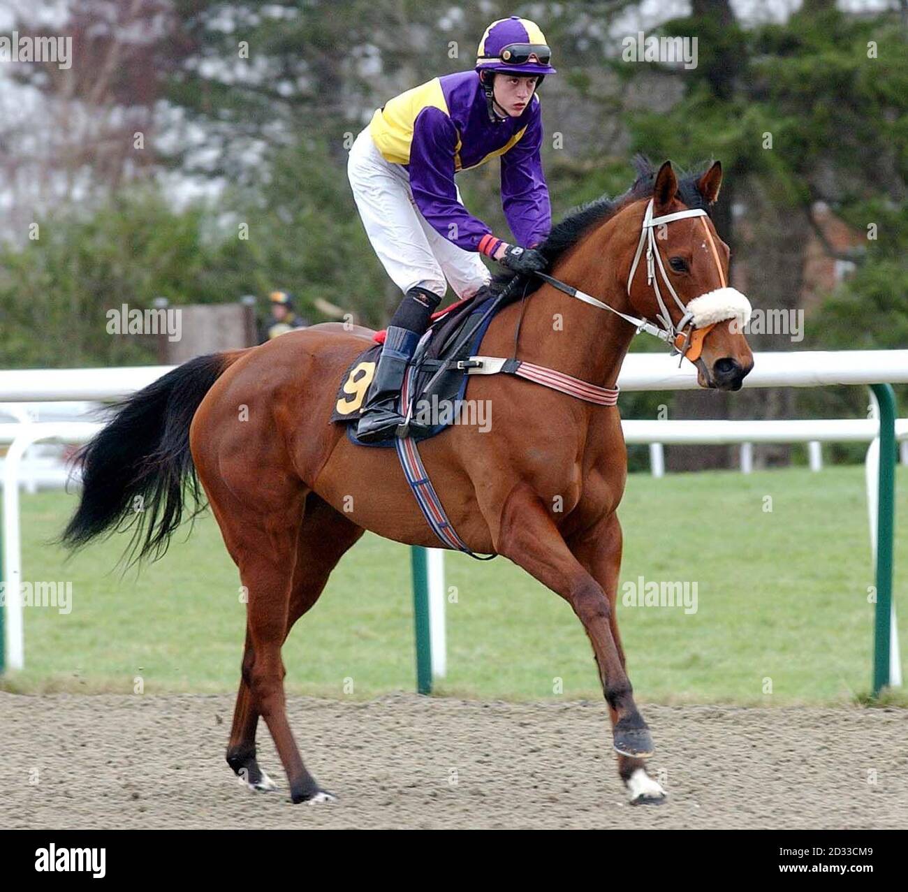 Horseracing Action High Resolution Stock Photography And Images Alamy